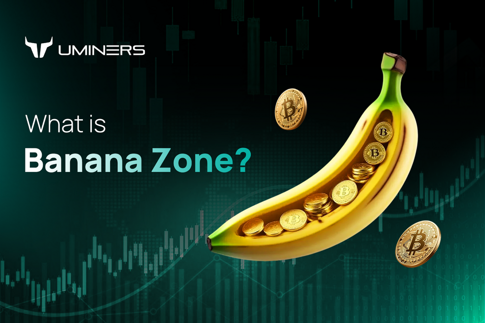 banana zone(larger)